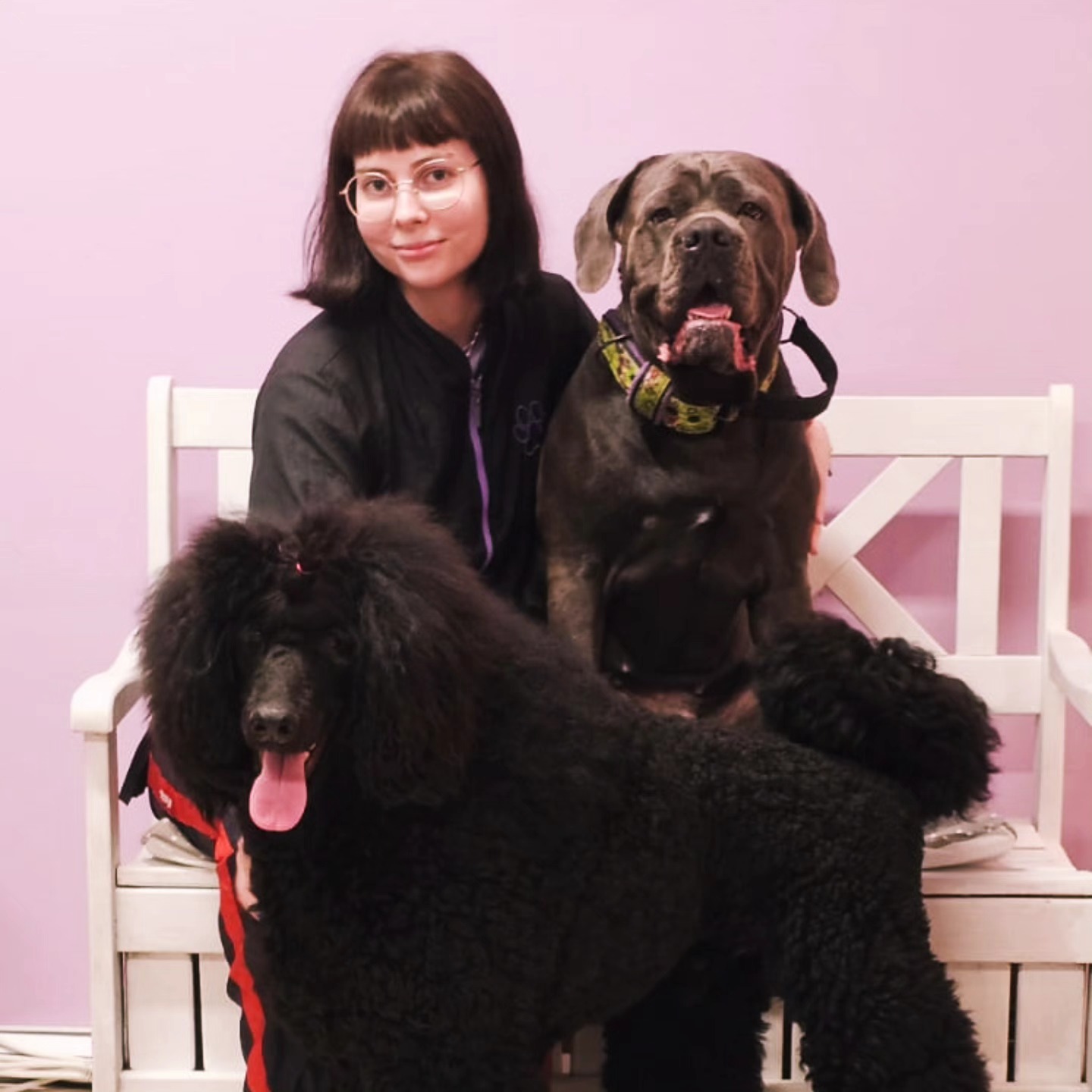 Koira ja kissa — Untuvan PetSpa
